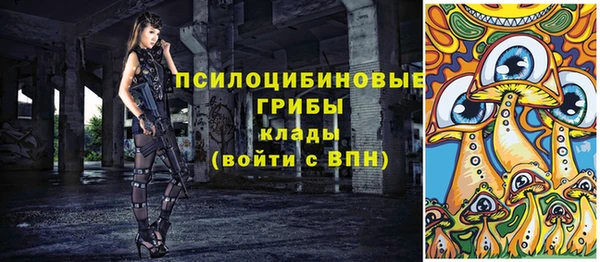 Альфа ПВП Медвежьегорск