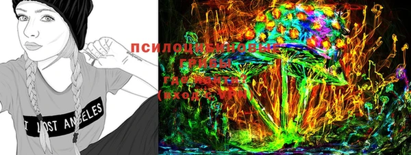 ГАЛЛЮЦИНОГЕННЫЕ ГРИБЫ Медногорск