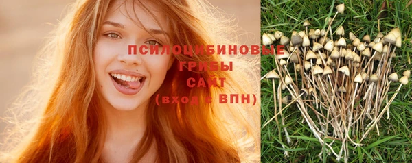 Альфа ПВП Медвежьегорск