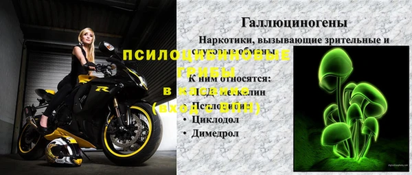 ГАЛЛЮЦИНОГЕННЫЕ ГРИБЫ Медногорск