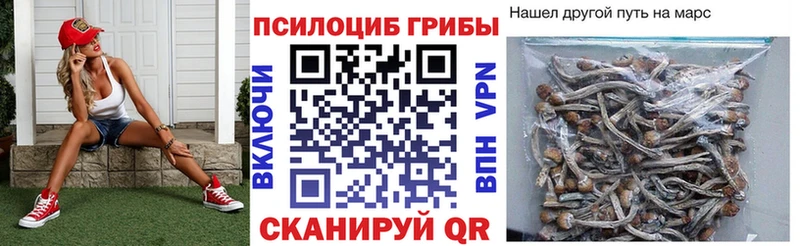Купить где Старая Русса Псилоцибиновые грибы Cubensis